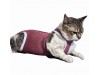 Roupa pós cirúrgica para Felinos